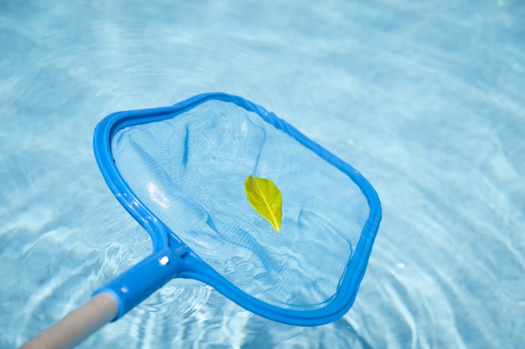 picking the leaf at the swimming pool